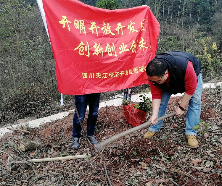 QQͼƬ20190313104202