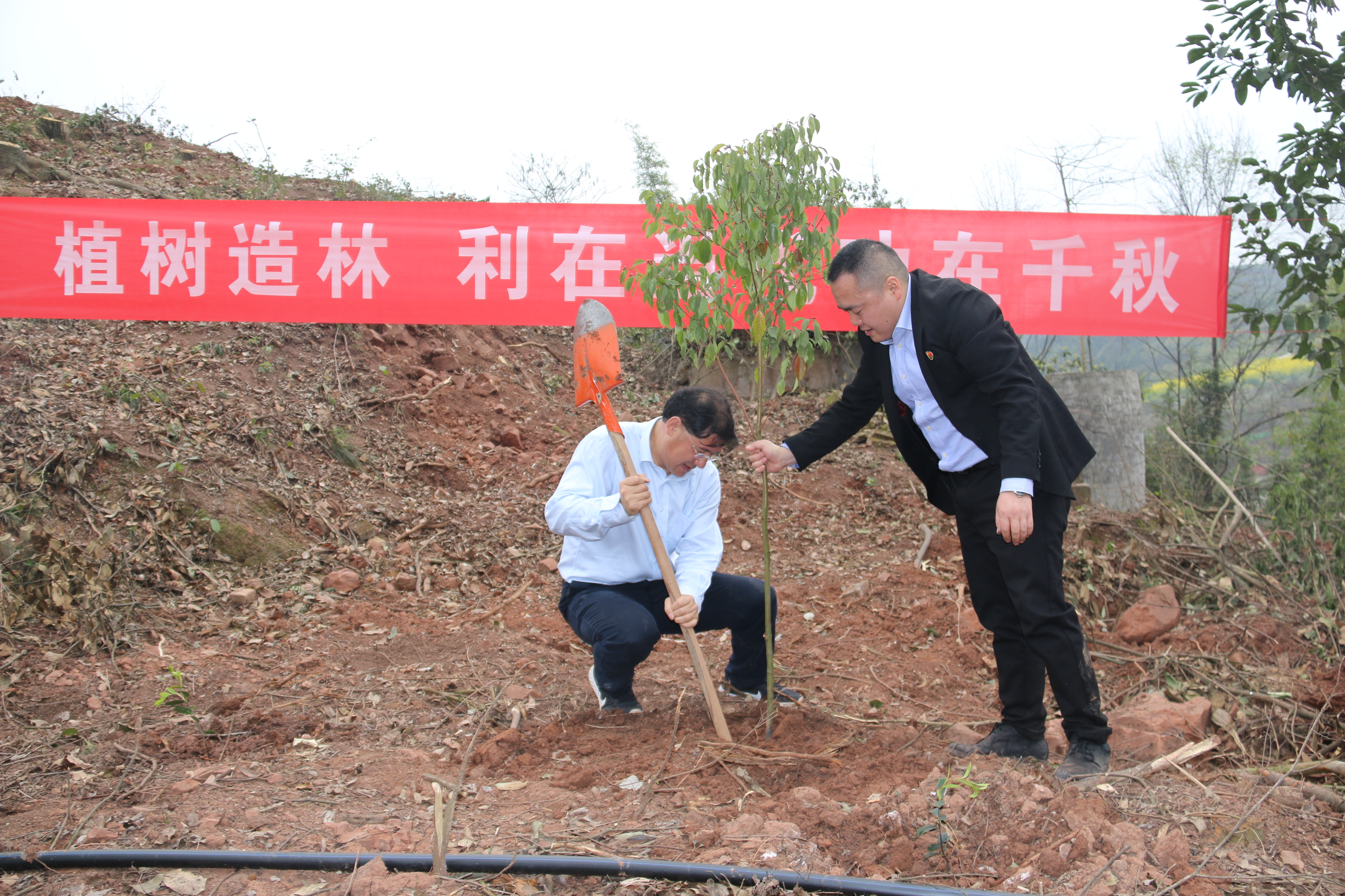 img_5399_ABC��ͼ