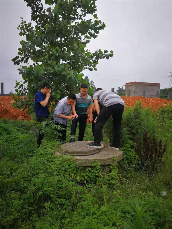 QQͼƬ20190711091356