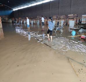 D50D365C6F99EF5D44E0257212775AC7_750_750