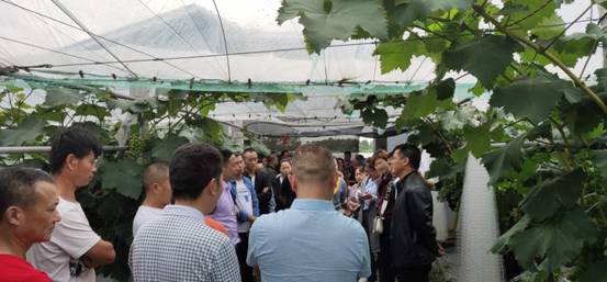 81736db0a25db8ea125aaca67d206af