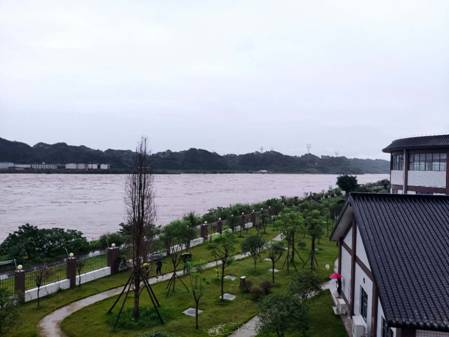 571aa2dfedf6a26c6960ce696f7a074