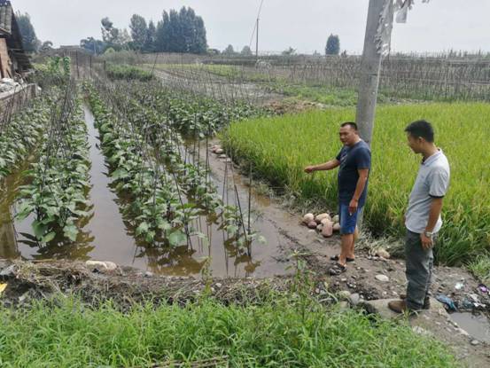 ΢��ͼƬ_20200819163645